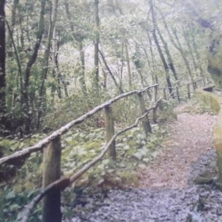 Apartmán Brenas Garden C9 Breña Baja Exteriér fotografie
