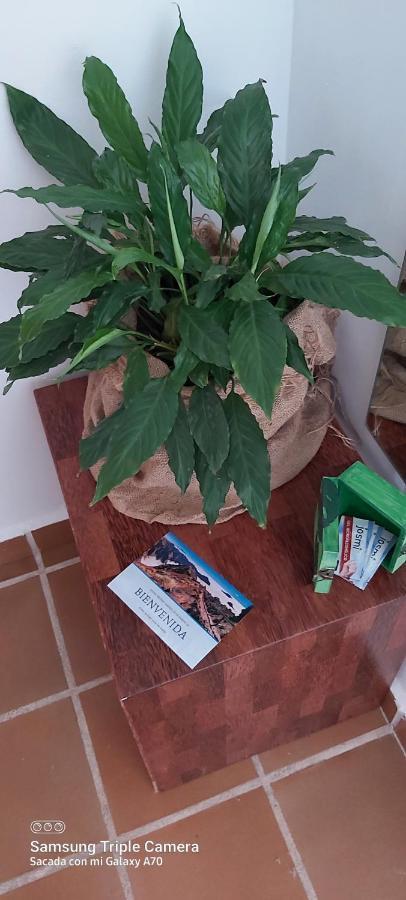 Apartmán Brenas Garden C9 Breña Baja Exteriér fotografie