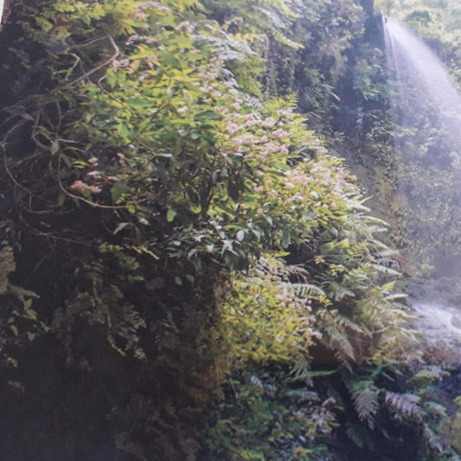 Apartmán Brenas Garden C9 Breña Baja Exteriér fotografie